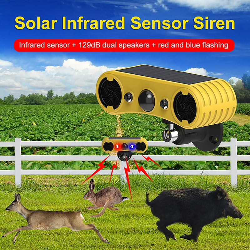 Allarme Solare con Sensore di  - Outdoor Lighting With Motion Sensor recensione e prezzo